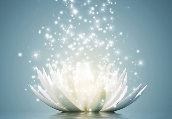 lotus
